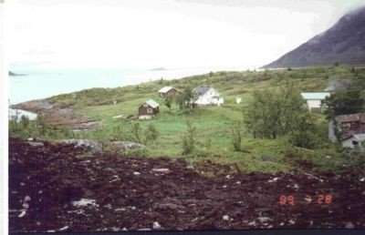vikan 3